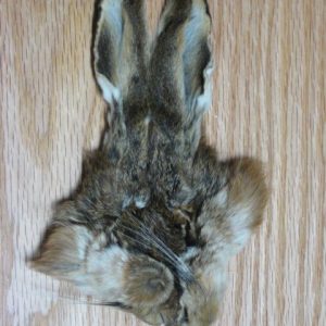 Hare's Mask